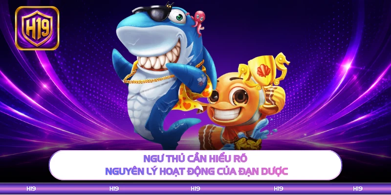 Ngư thủ cần hiểu rõ nguyên lý hoạt động của đạn dược