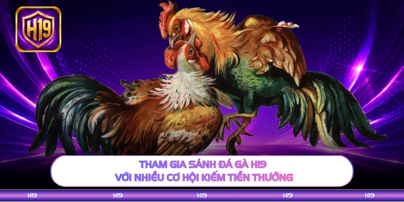 Tham gia sảnh đá gà H19 với nhiều cơ hội kiếm tiền thưởng